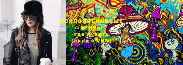 PSILOCYBIN Алексин