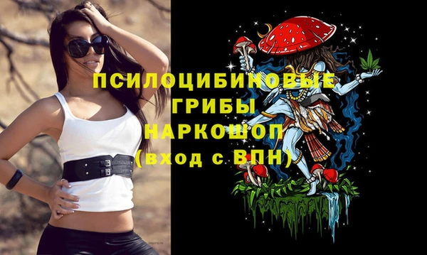 Альфа ПВП Абинск